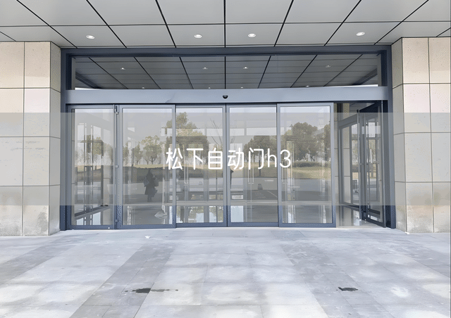 松下自动门h3