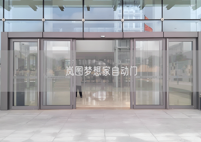 岚图梦想家自动门